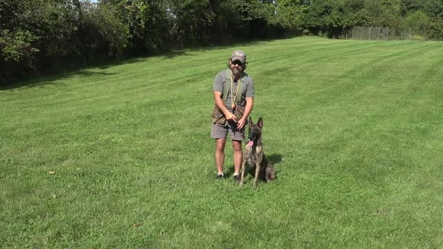 Showing My Son To Train Protection Dogs Episode 1
