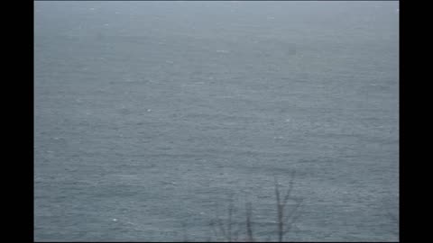 Saint Mary's cove Brixham short clip 19-11-2023