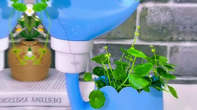 Don't throw the washing liquid bottle. Make a two-layer flowerpot
