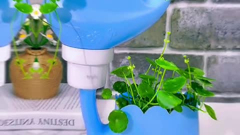 Don't throw the washing liquid bottle. Make a two-layer flowerpot