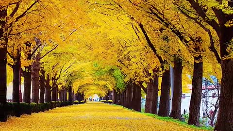 When you can love, do not give up love.