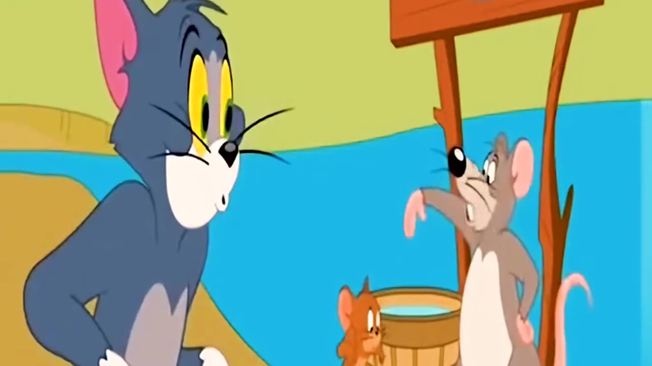 Tom and jerry