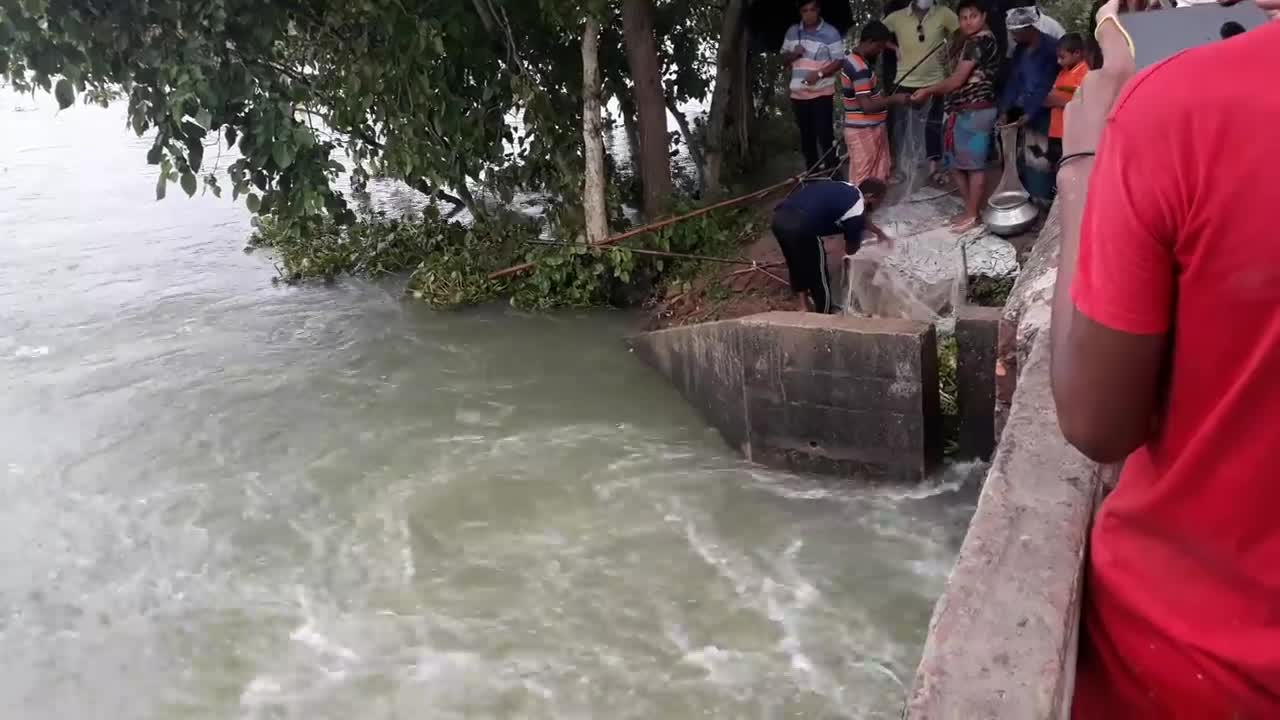 Catching huge fish by small triangular net.