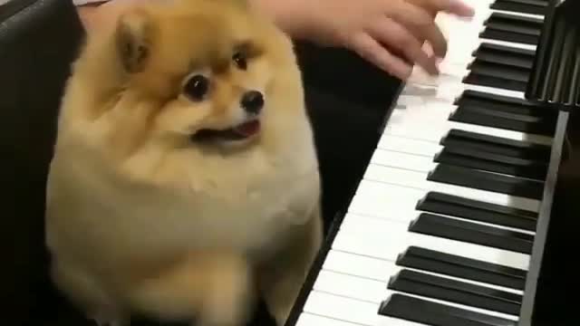 Have fun every day, have a good mood every day