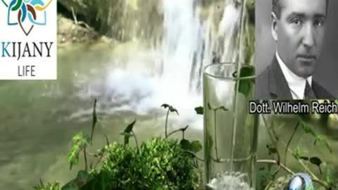 I dati ufficiali confermano che è in corso la DEPOPOLAZIONE mondiale dei vaccinati!!!!