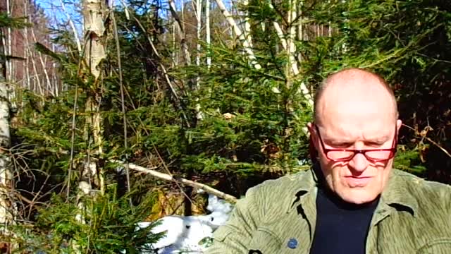 Hochzeitsfeier eines Königs für seinen Sohn - Teil 2