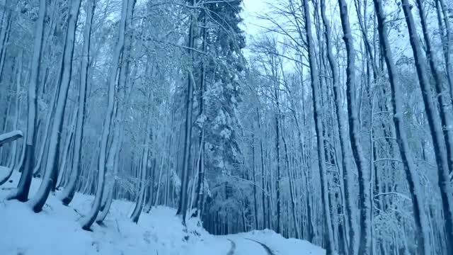 Snow and storm to sleep soundly in 5 minutes.