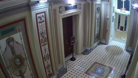 0689USCS01SenateFireDoornearS132_2021-01-05_23h20min02s130ms.mp4