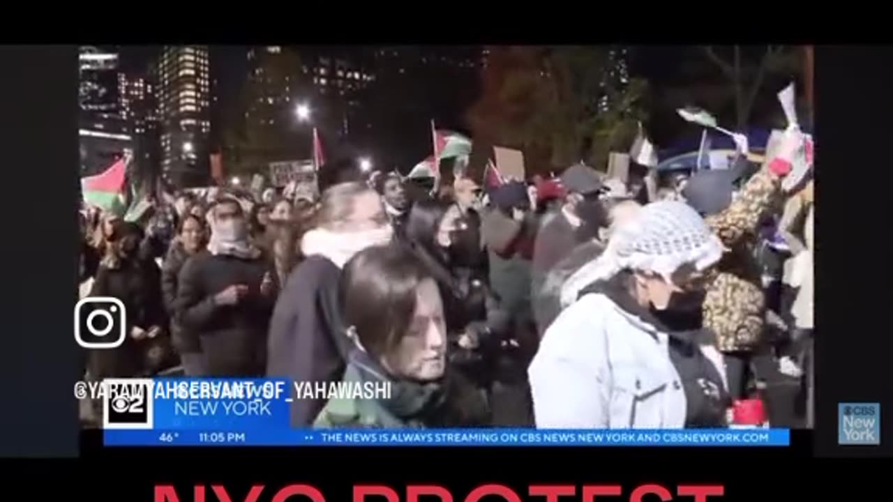 Palestine Protesters in NYC!….⏳