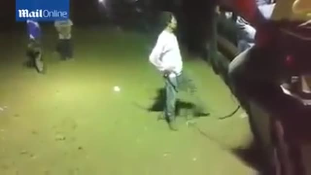 SOME... BODY ONCE TOLD ME... bull attack