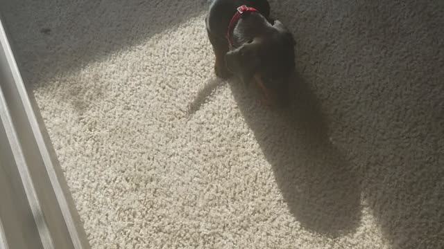 Not sure what to do