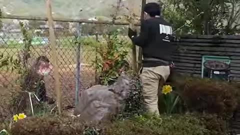 Watch the transformation of these bamboo fences 😮