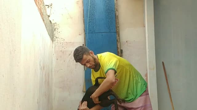 Original Pit Bull Vertical Climbing Training