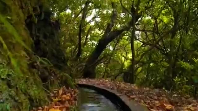 Feel the good nature