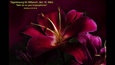 Tageslosung für Mittwoch, den 16. März