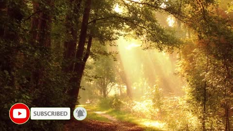 Relaxing Music | Sleeping, Meditation, Stress Relief | [327] ⭐️