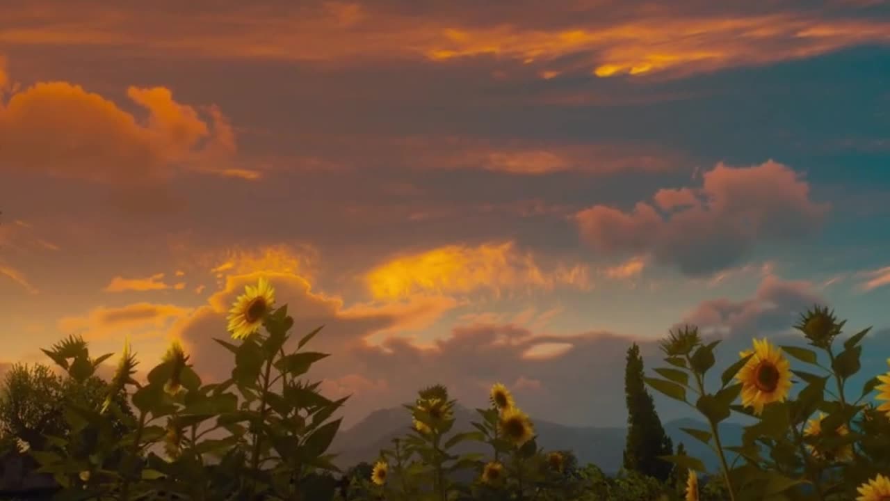 Bought by the good scenery, the rest is all good mood