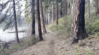 River Shoreline Wilderness Adventuring – Suttle Lake – Central Oregon