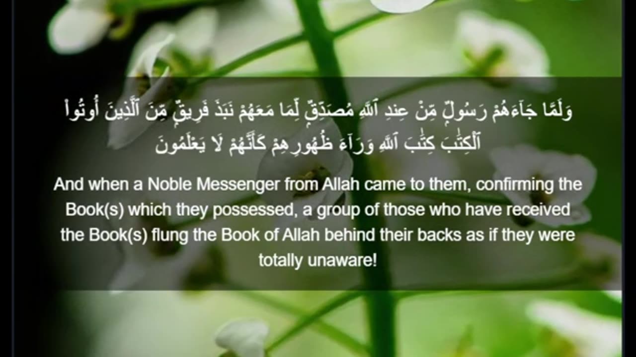 Beautiful recitation of the Holy Quran||تلاوة جميلة للقرآن الكريم