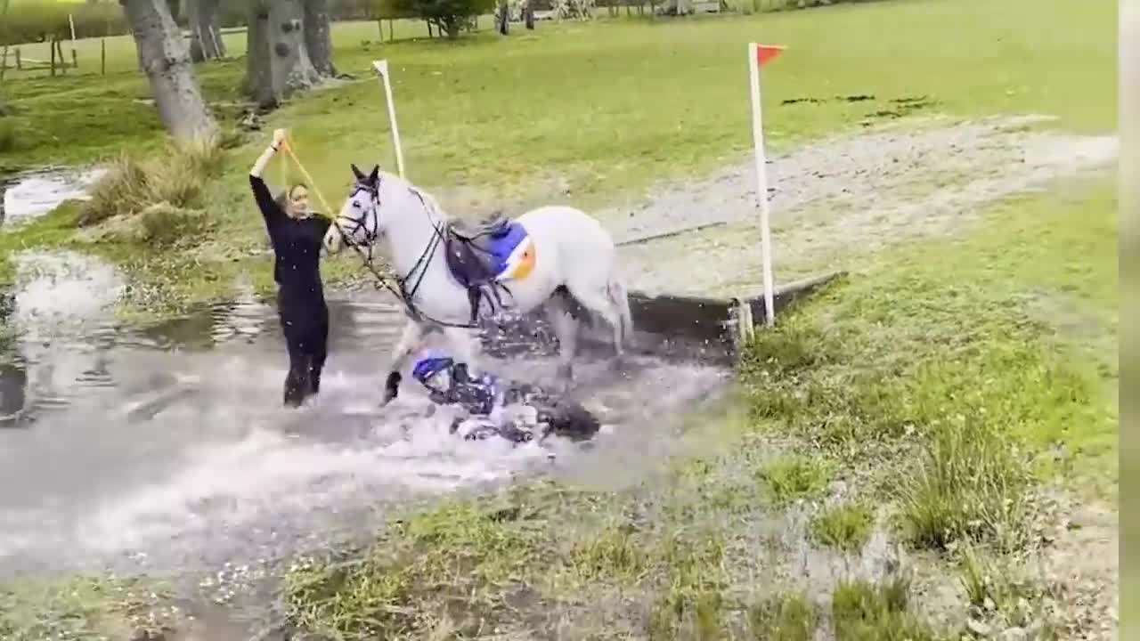 Best Funny Animal Videos Of The 2021 🤣 - Funny Wild And Farm Animals Videos 🐴🦍
