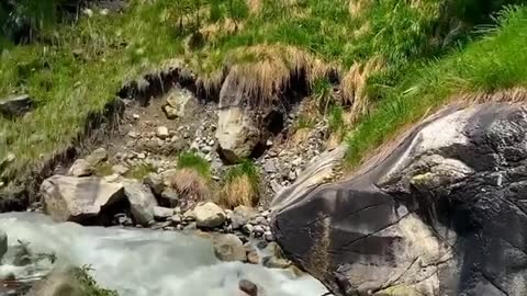 Beautiful Nature