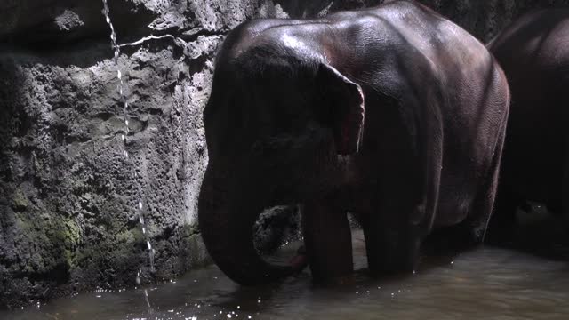 natural bath