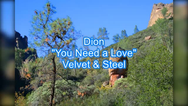 Dion - You Need a Love #466