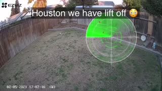 Flying Blue Heeler