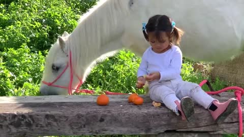 The cutest little toddler horse rider and her pony