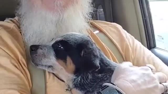 Meet Pop