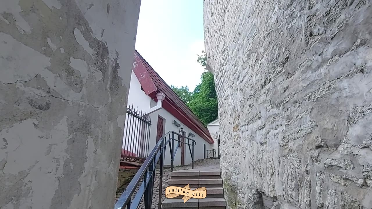 Lühike Jalg Street | Short Leg Street | Tallinn Old Town | Estonia | Baltic States