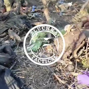 KIA Ukrainian soldiers as a result of a successful Russian attack