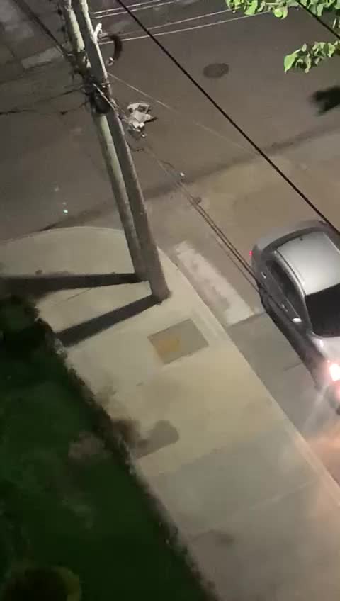 robo a personas dentro de un carro