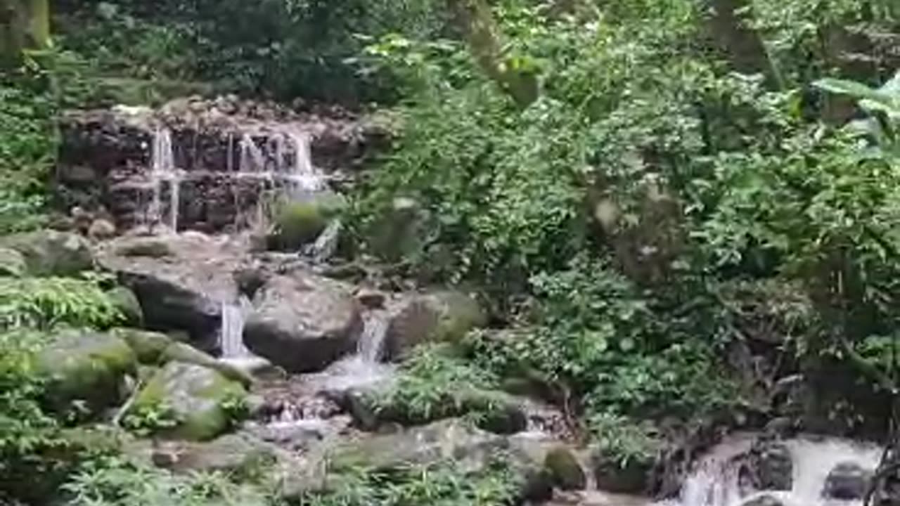 NATURE BEAUTY Good scenery naturally free flowing river