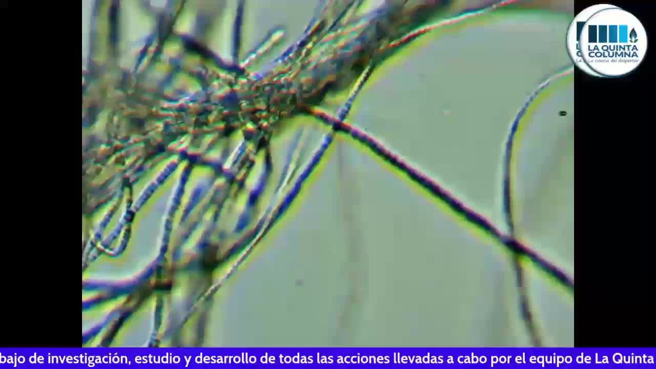 Nanotubos de carbono basados en grafeno en "vacuna" Pfizer