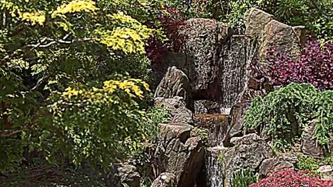 *BILL PARKER LOVES SMALL WATERFALLS