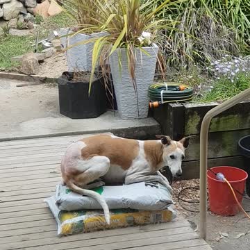 I'm sure I can lie here