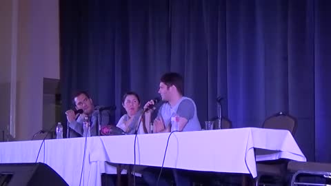 Luci Christian, Clifford Chapin, and David Matranga Q&A Panel @ Louisianime 2018