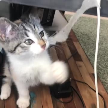 маленький защитник