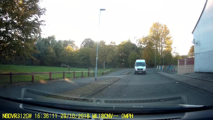 Man Stops a Driverless Delivery Van