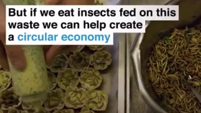 WEF:Eat Bugs Peasants!