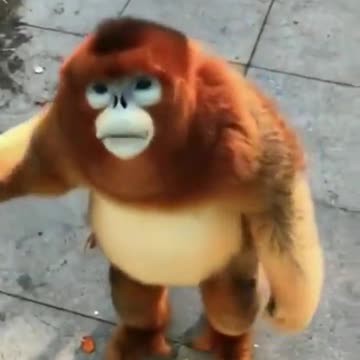 Very polite gentleman