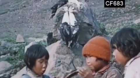 Dental Health in 1950's