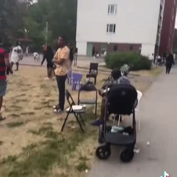 Sweden is destroyed by immigrants