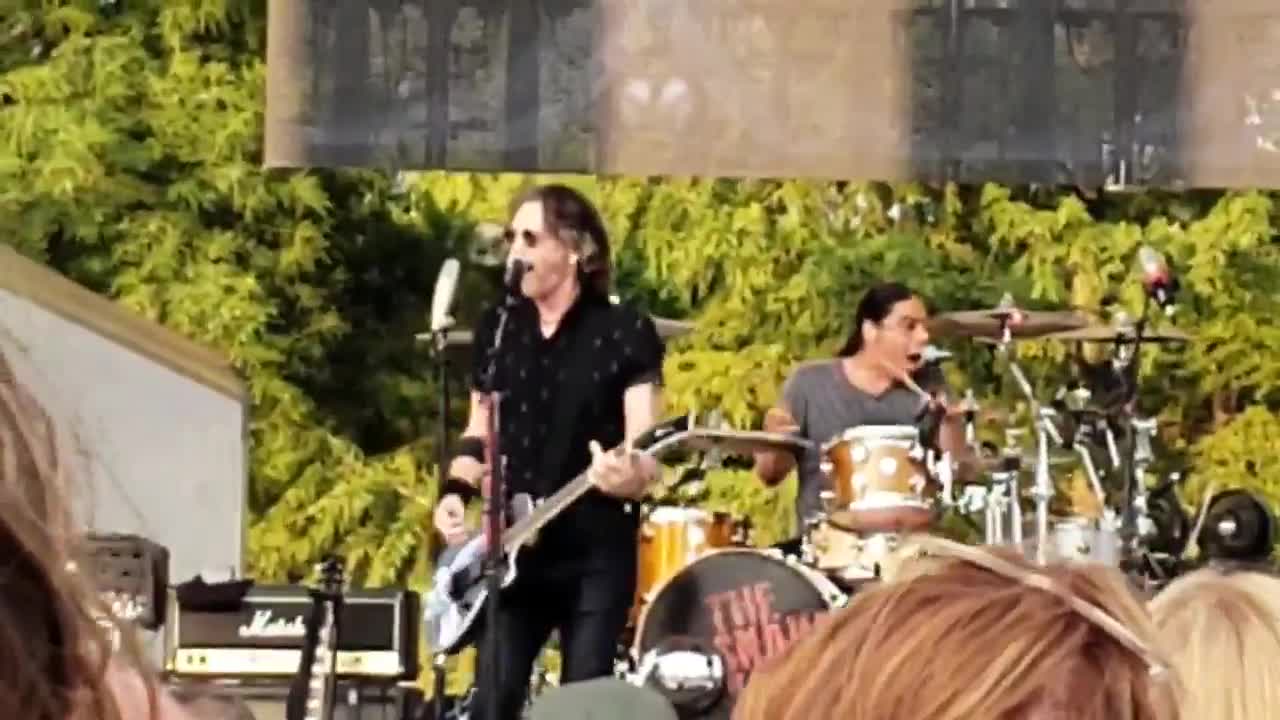 Rick Springfield "I've Done Everything For You"