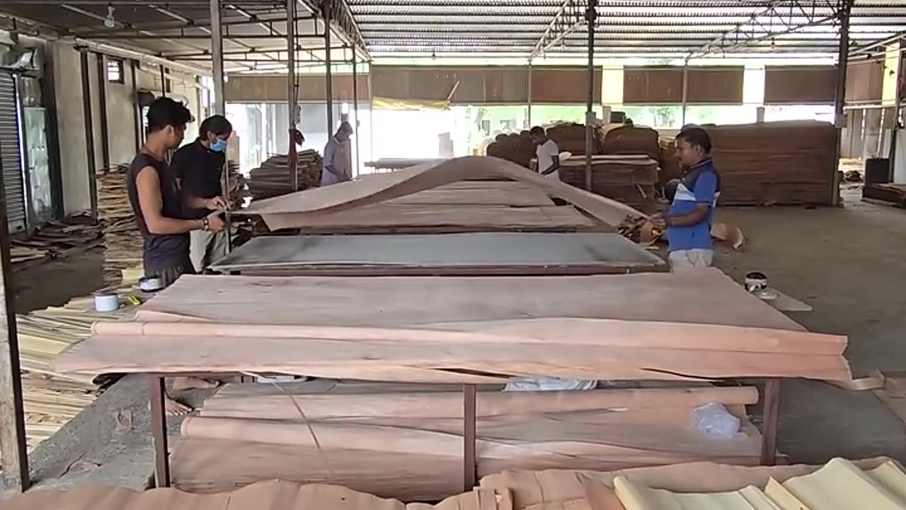 Amazing Plywood Manufacturing Complete Process