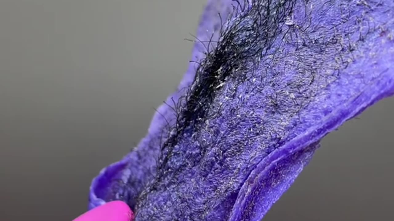 Understanding Wax Adhesion with Hypnotic Purple Seduction Hard Wax | dluxe beauty studio