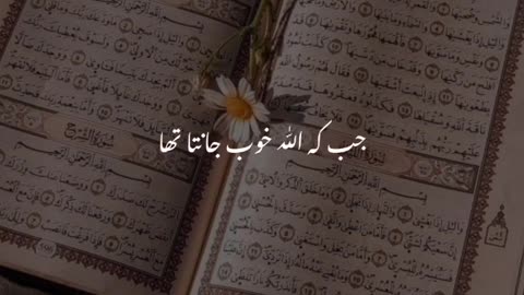 QURAN_KAREEM_URDU_TRANSLATION_#shorts(720p)@shahidmalik17