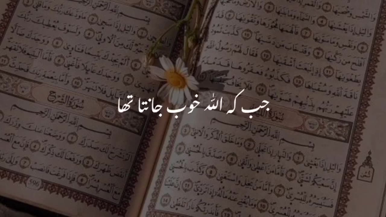 QURAN_KAREEM_URDU_TRANSLATION_#shorts(720p)@shahidmalik17