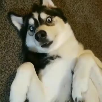 When you are told you have to go to work on weekend